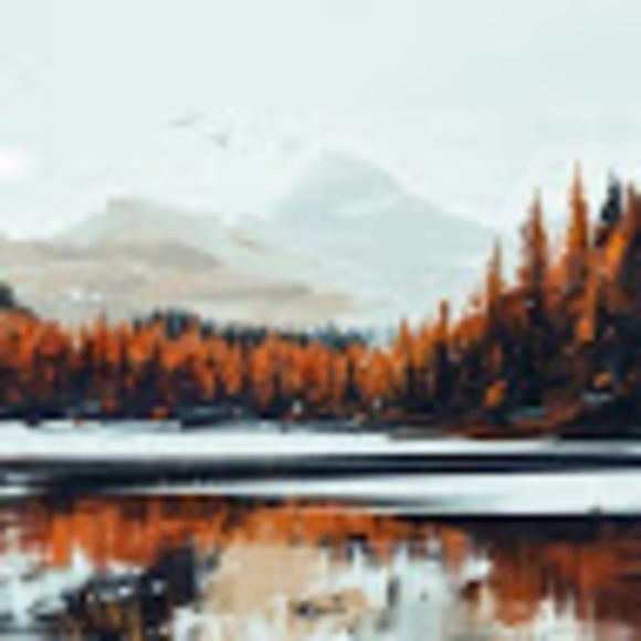 Meet your Posher, Thomas - Picture 1 of 1